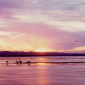 Tuggerah Lakes
