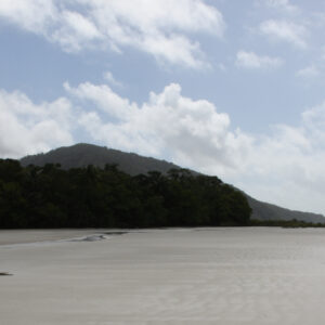 capetribulation