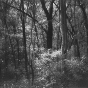 nocturen IRa