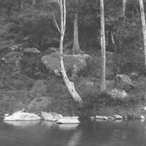 turonriver.th